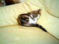 Caramel 08-04 012